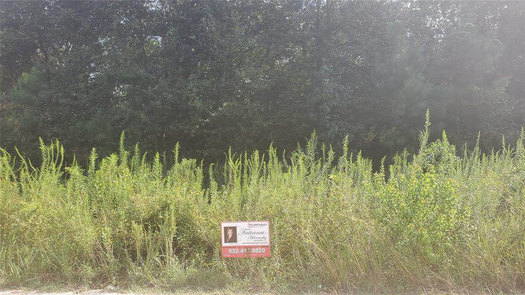 25960 Essex - Photo 1