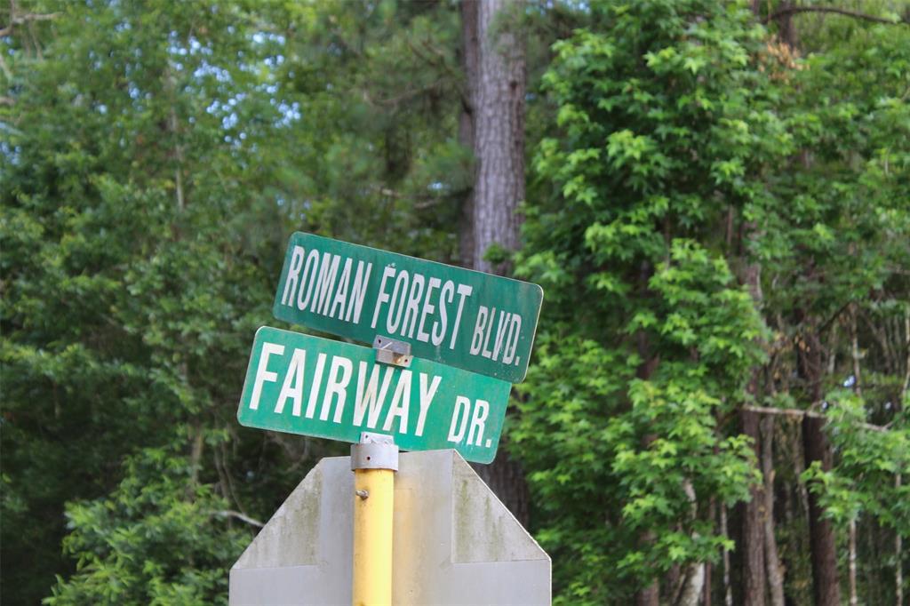 00 Roman Forest Boulevard - Photo 1