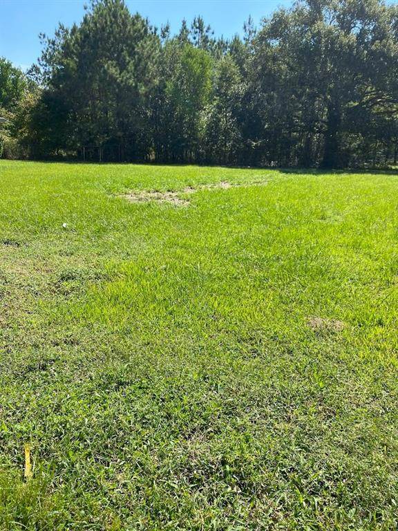 30718 Meadow Wood Drive - Photo 1