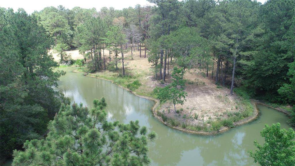 19210 Country Lake Drive - Photo 1