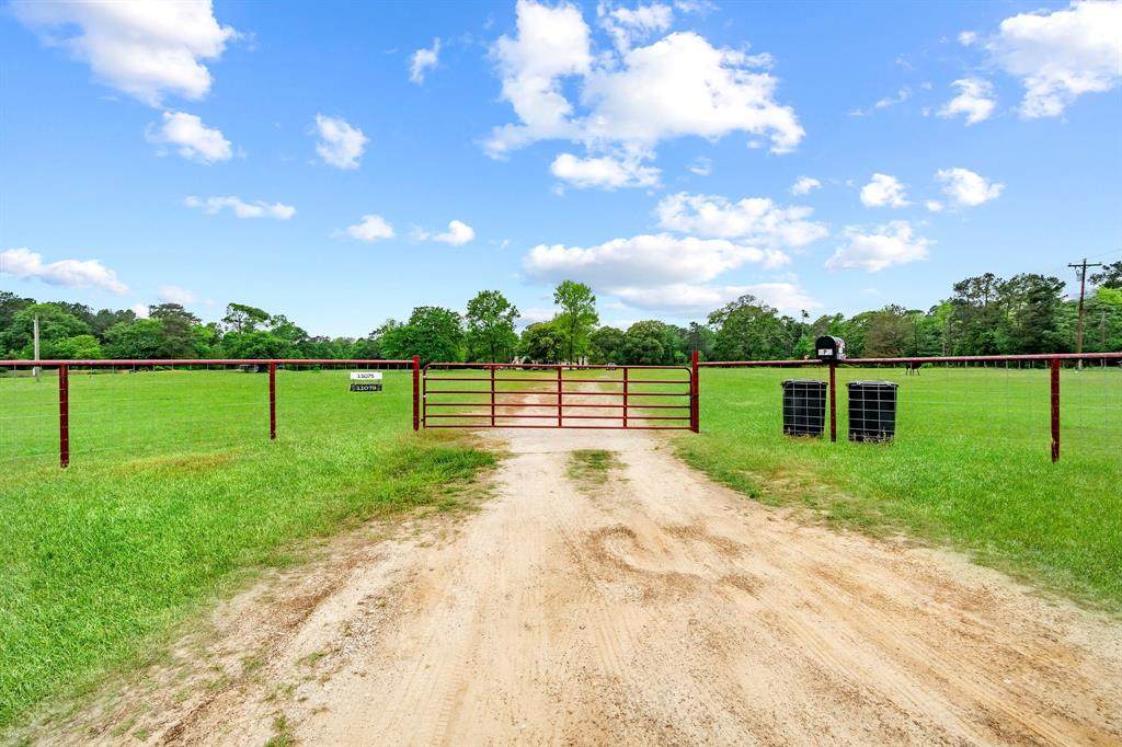 11075 Williams Road - Photo 1
