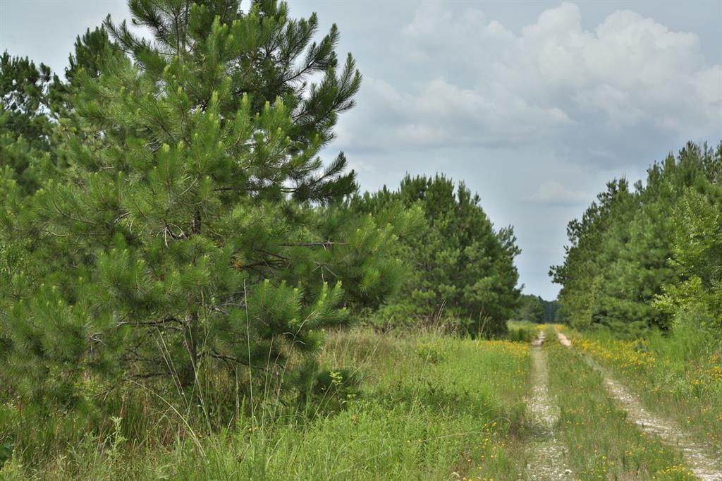 0 Hwy 105 - Photo 1