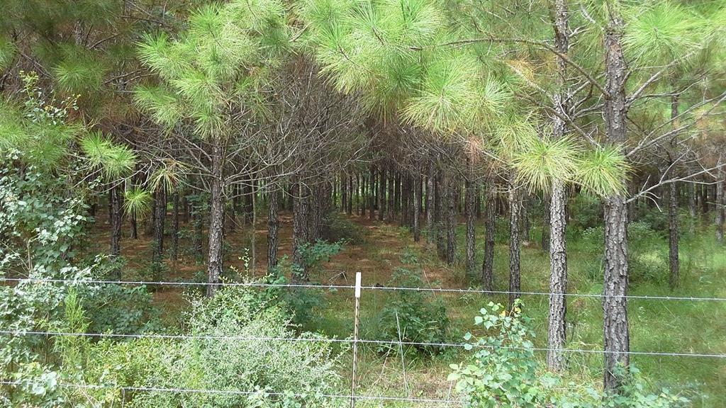 TBD Pr 6710 - Photo 1