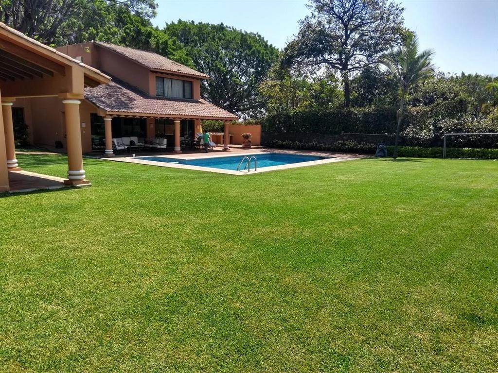 211 Rio Conchos Street - Photo 1