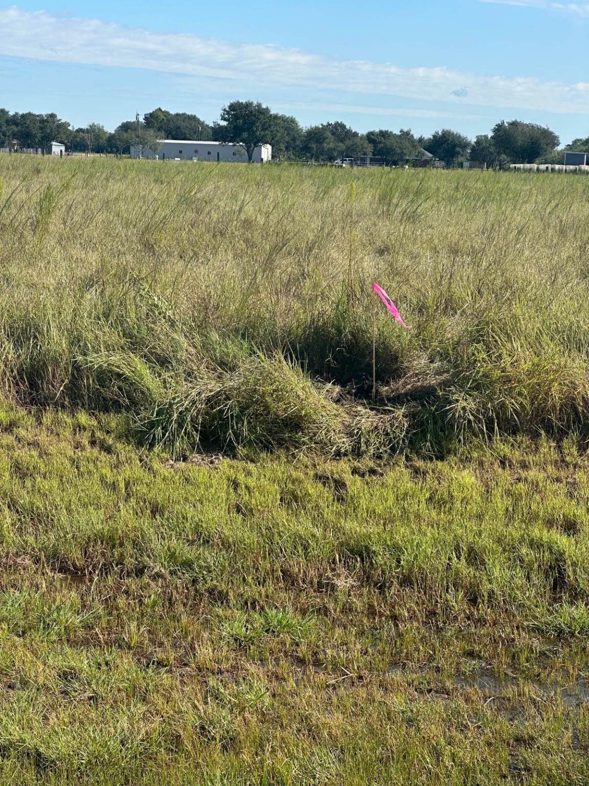 0 Highway 36 S Expressway - Photo 1