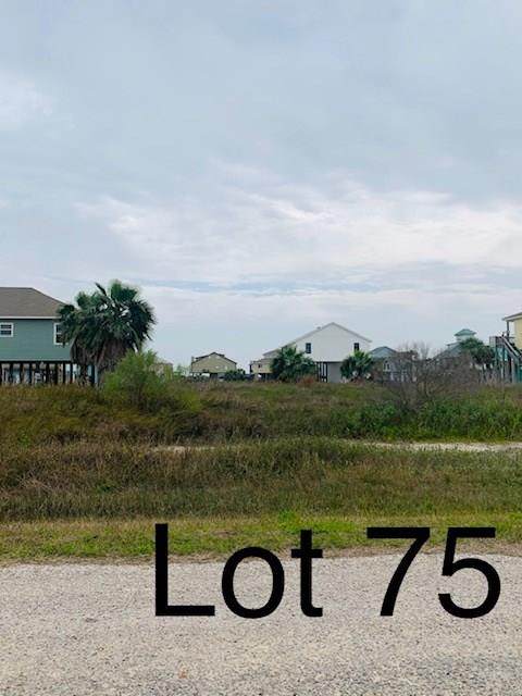 TBD75 Whooping Crane Street - Photo 1 TBD75 Whooping Crane Street - Photo 1