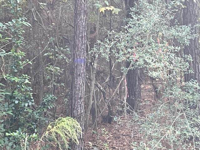 0 Redwood Lane - Photo 1