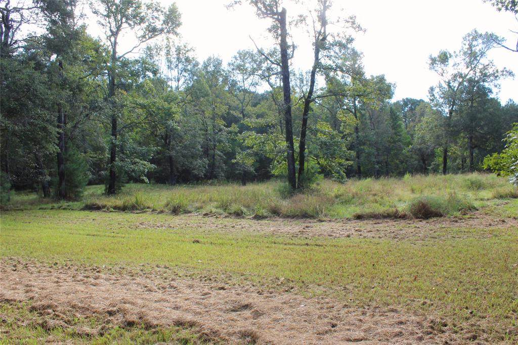 10003 Hennelly Drive - Photo 1