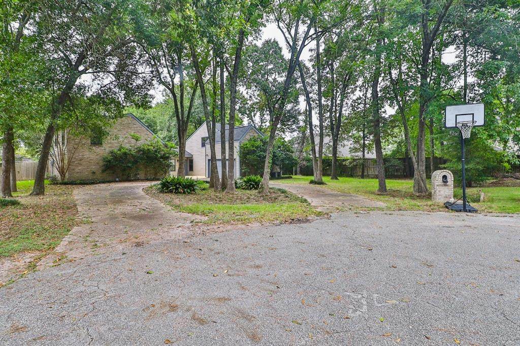 12019 Mimosa Lane - Photo 1