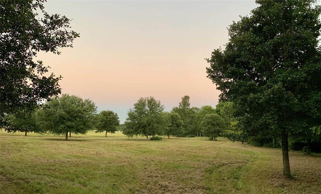 24077 Old Dobbin Plantersville Road - Photo 1