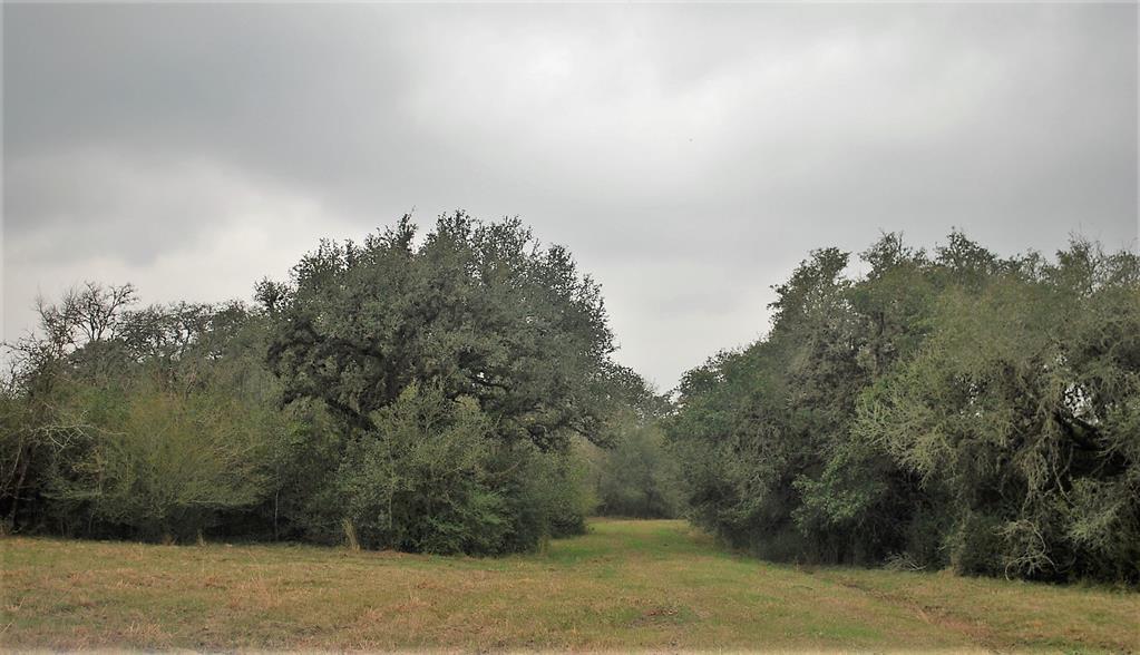 0 Green Meadow Lane At Simmons Oakridge Rd - Photo 1