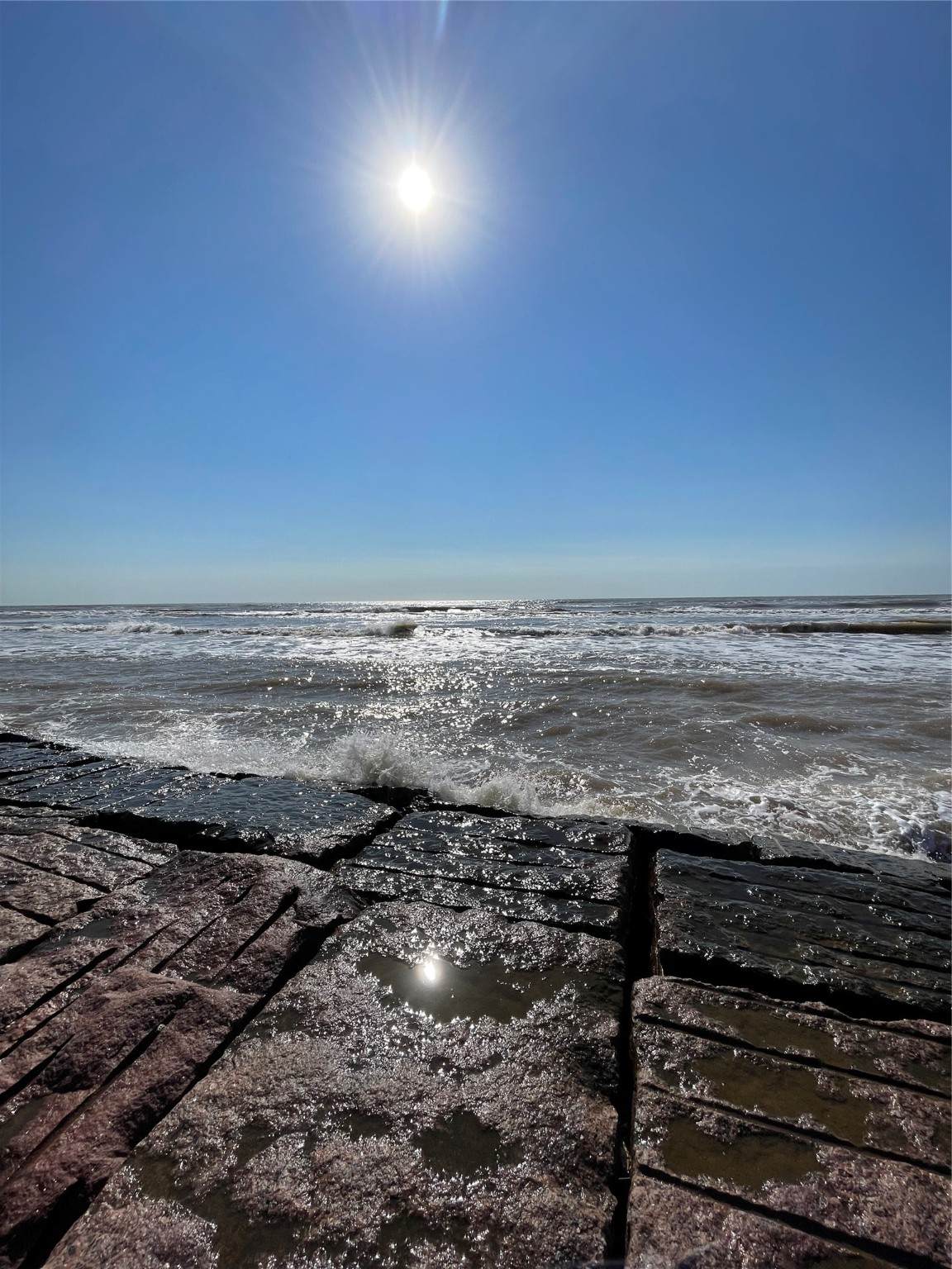 2234 Canal Drive - Photo 1