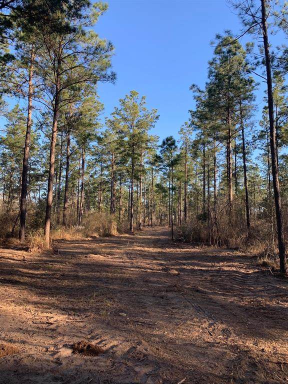 TBD Tract B Fm 1087 - Photo 1