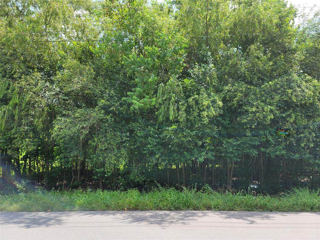 8155 Jutland Road - Photo 1