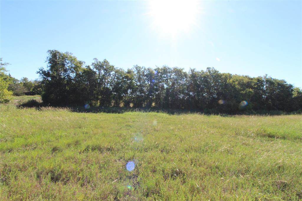 TBD Tract 1 Randle Hill Road - Photo 1