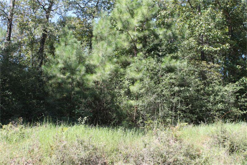 TBD Baskin Loop - Photo 1