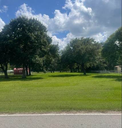 3747 Country Road 962 - Photo 1