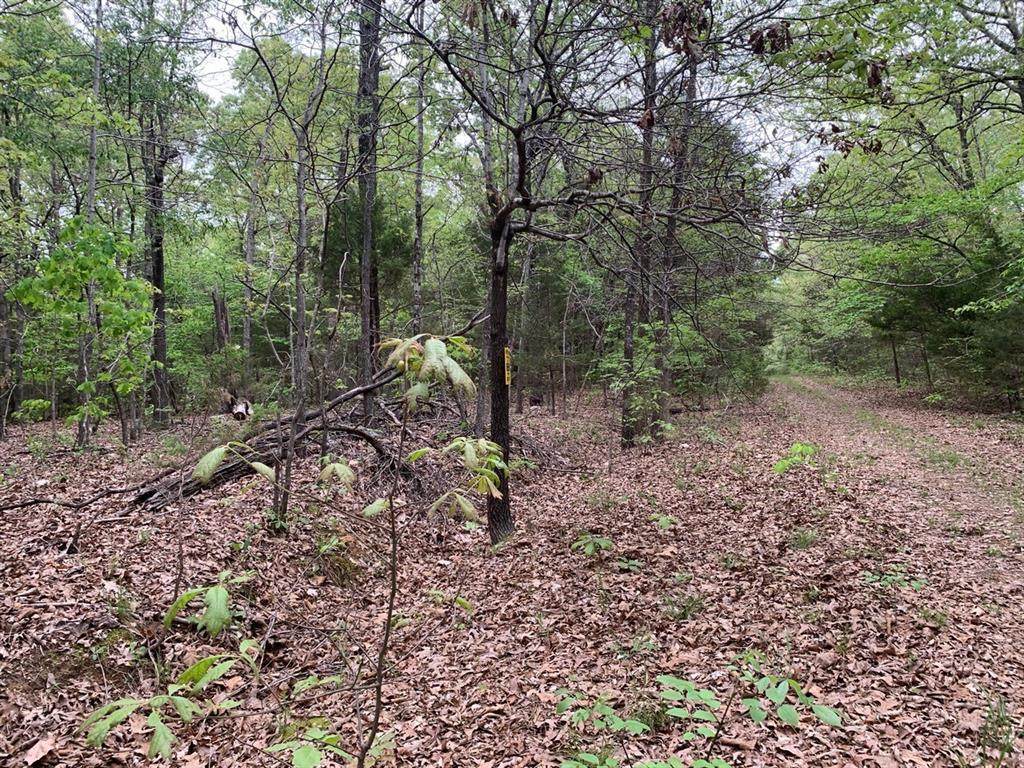 Lot 30 Durre Drive - Photo 1