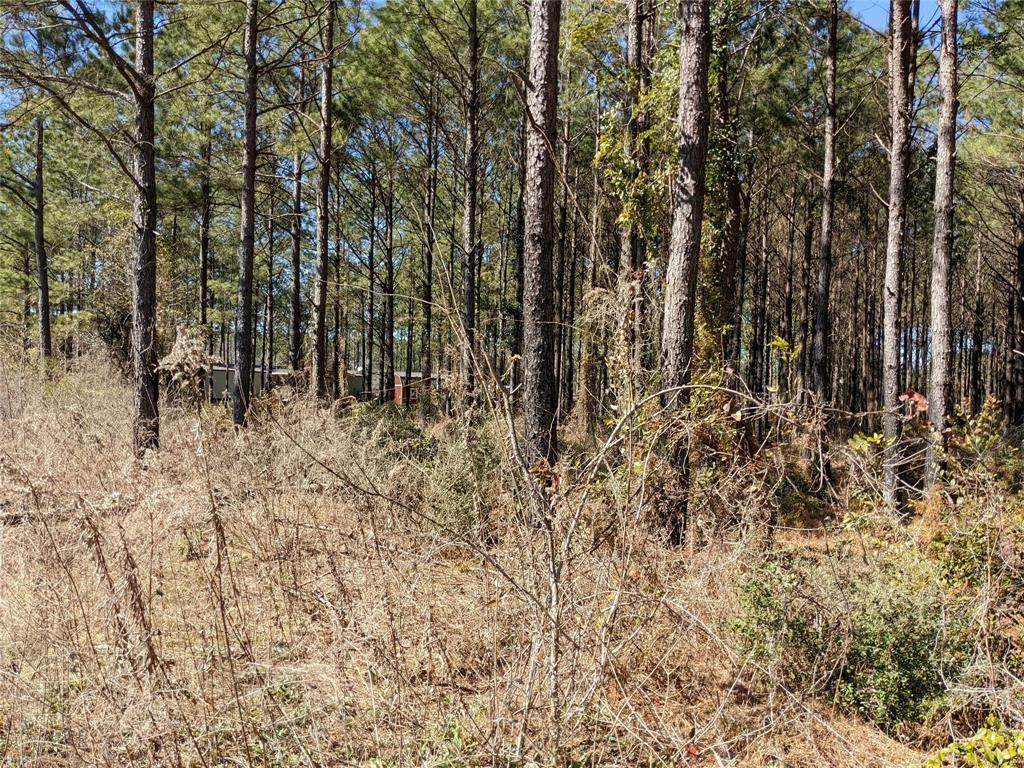 144 Road 5005 - Photo 1