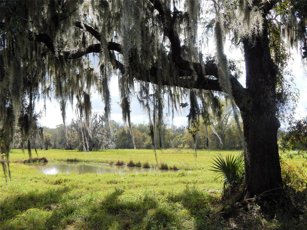 244 Pony Trail - Photo 1
