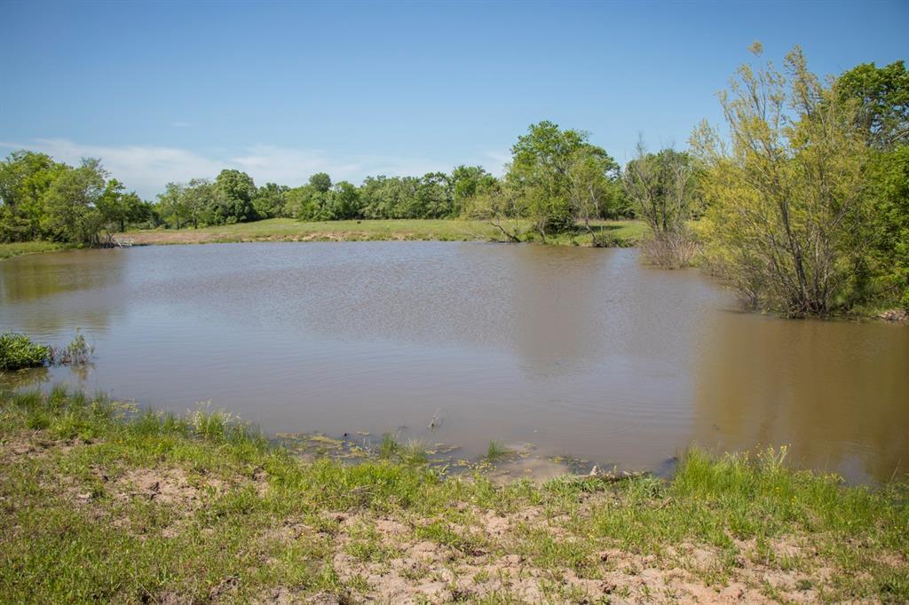 0000 Fm 1374 Road - Photo 1