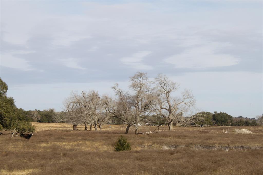 1747 Old Hallettsville Road - Photo 1