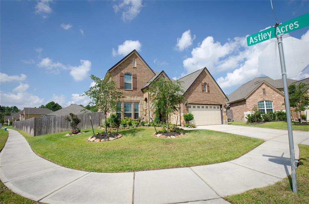 14607 Wooded Tree Lane - Photo 1