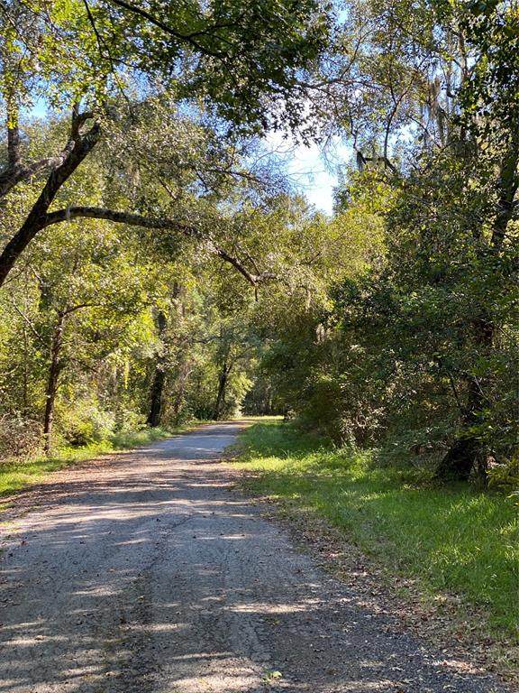 R121269 San Jacinto - Photo 1