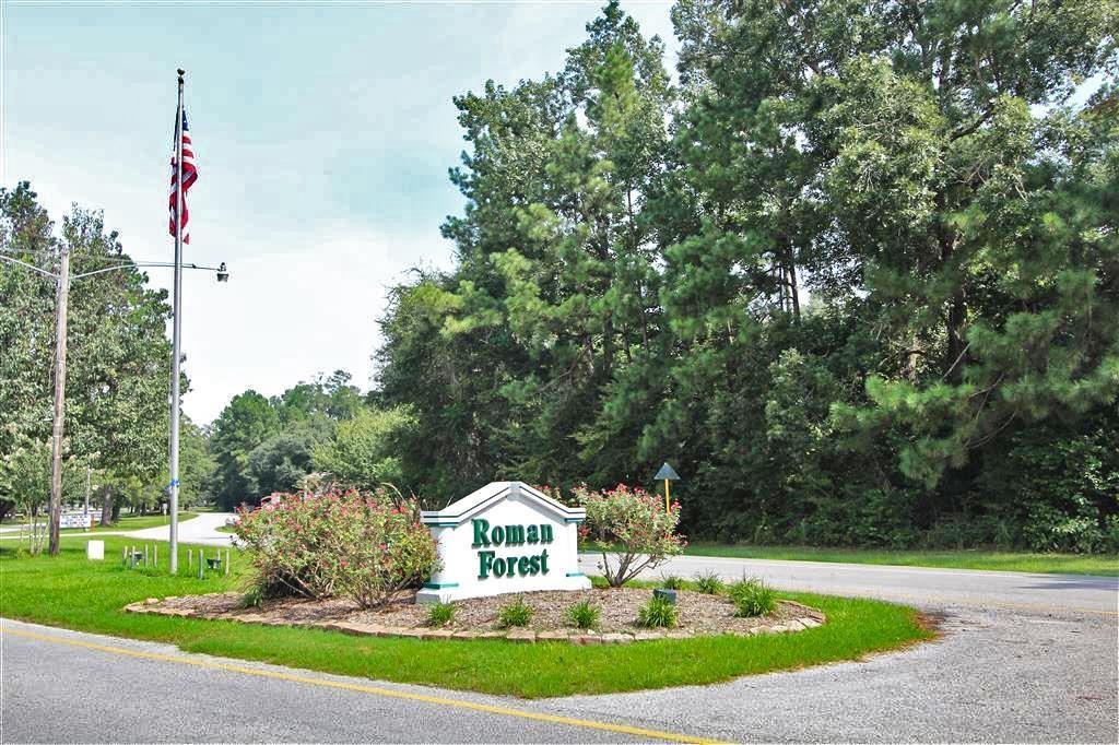 0000 Roman Forest Blvd-00 - Photo 1