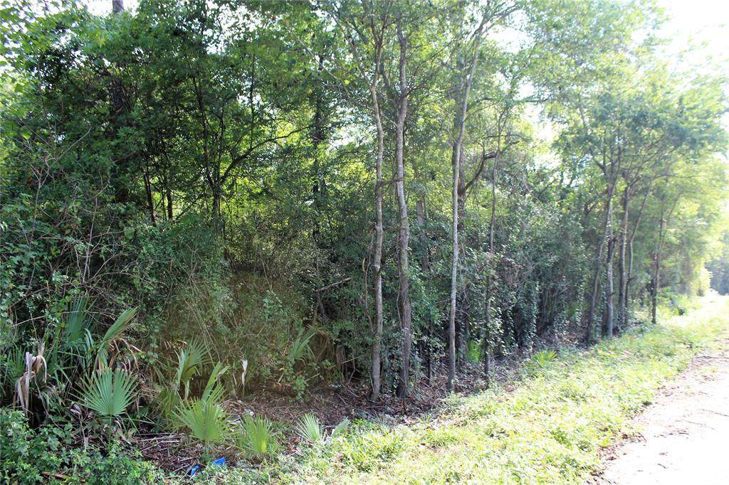 00 River Drive - Photo 1
