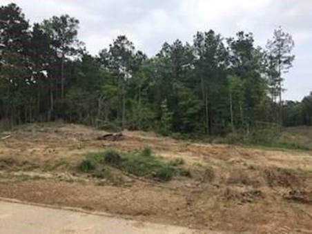 435 County Road 6324 - Photo 1