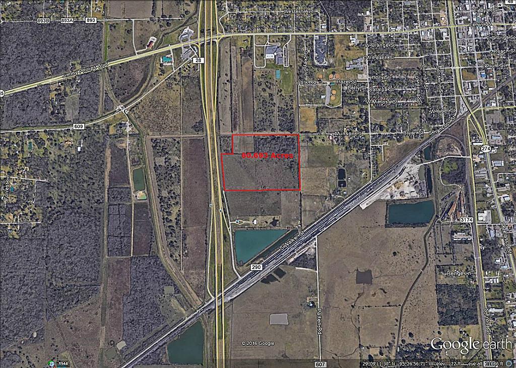0 S Hwy 288/Cr 290 - Photo 1