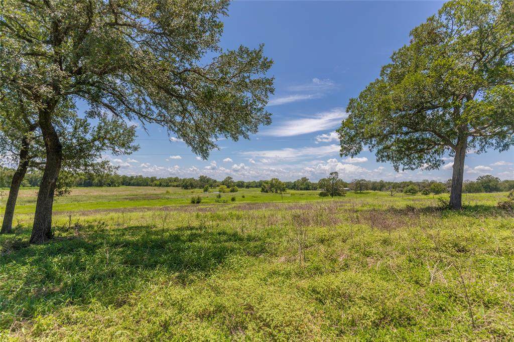 LOT 8 Mill Creek Ranch Road - Photo 1