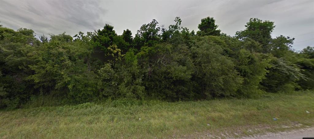 0 Lake Houston Parkway - Photo 1