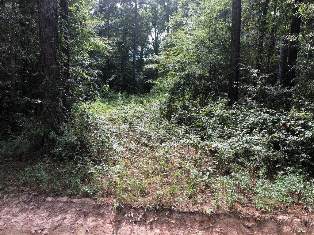 0 Shady Lane - Photo 1
