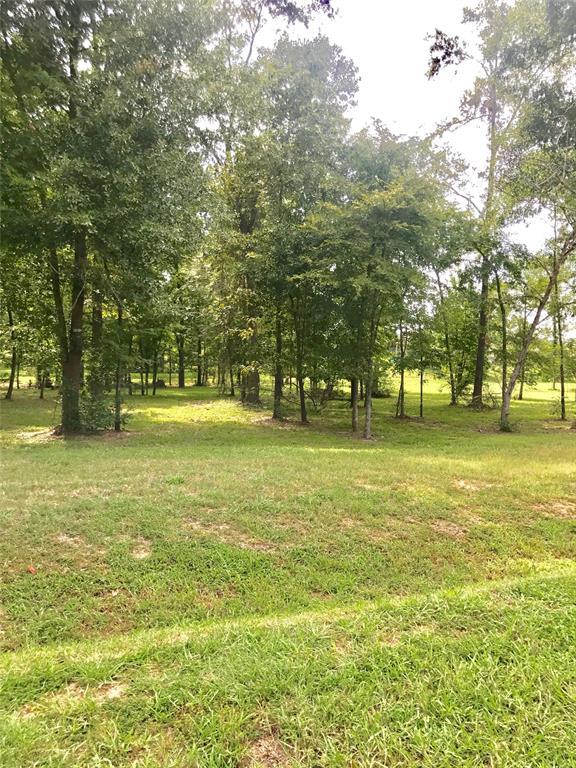 11539 Grand Pine - Photo 1