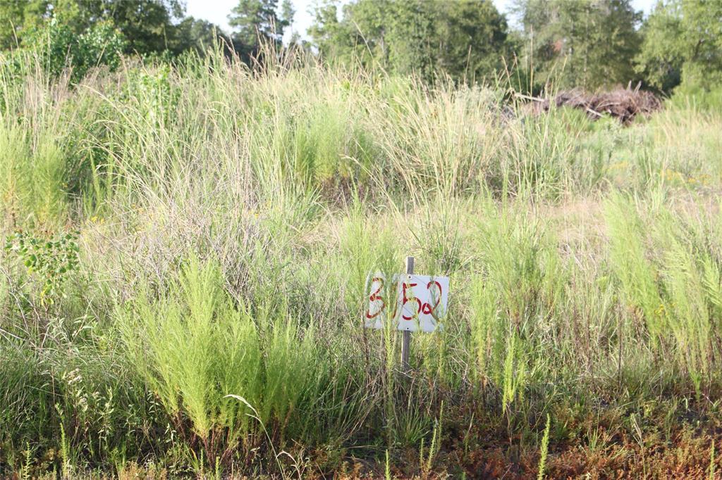 971 Gala Drive - Photo 1