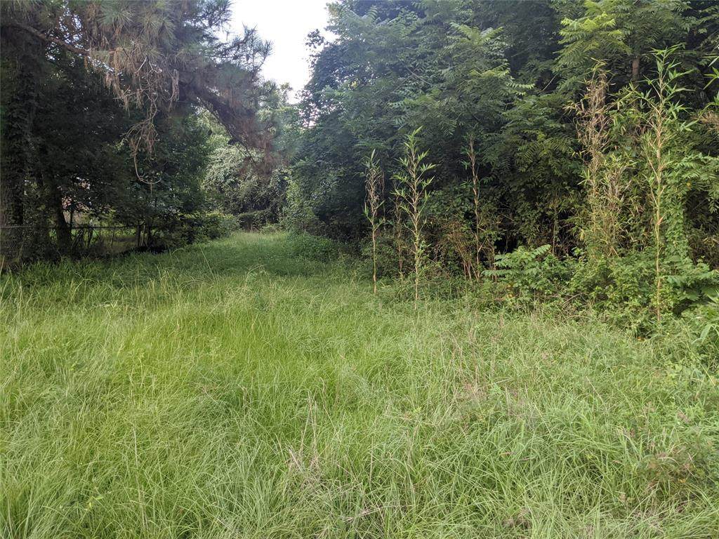 TBD Redbud Road - Photo 1