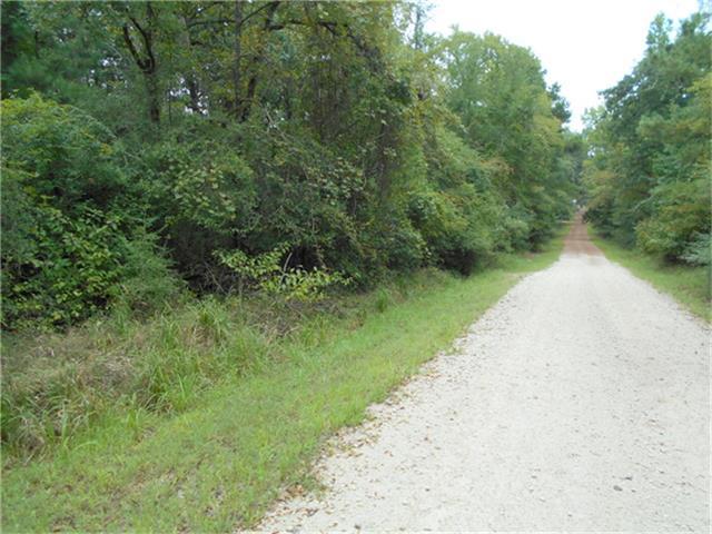 000 Tall Timber Road - Photo 1
