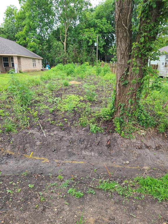 11903 21st Street - Photo 1