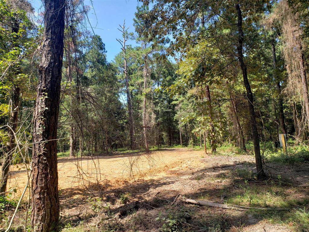 tbd County Road 2620 - Photo 1