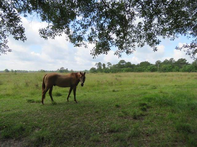 4012 Fm 1131 - Photo 1
