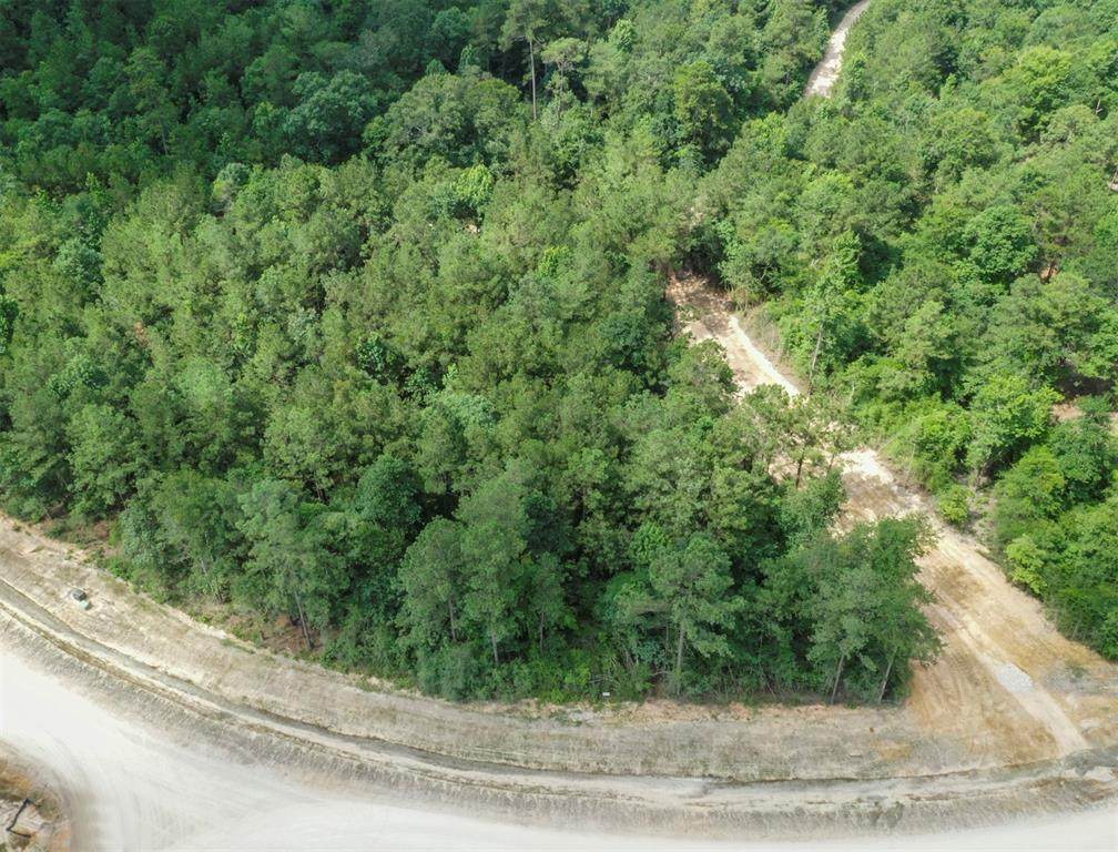 15795 Republic Ranch Road - Photo 1