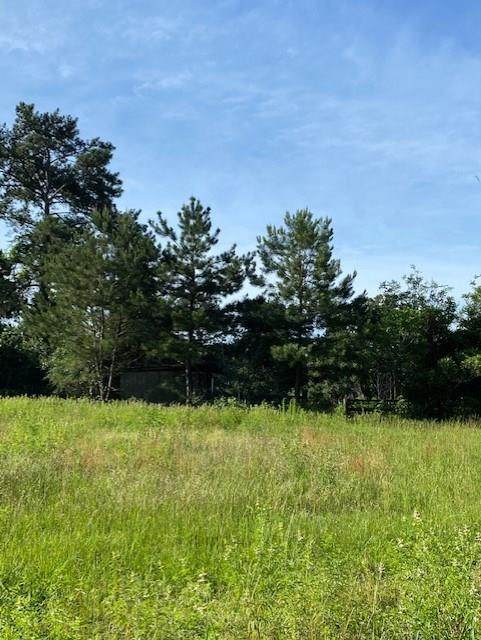 Lot 3 Cedar Lane Loop - Photo 1
