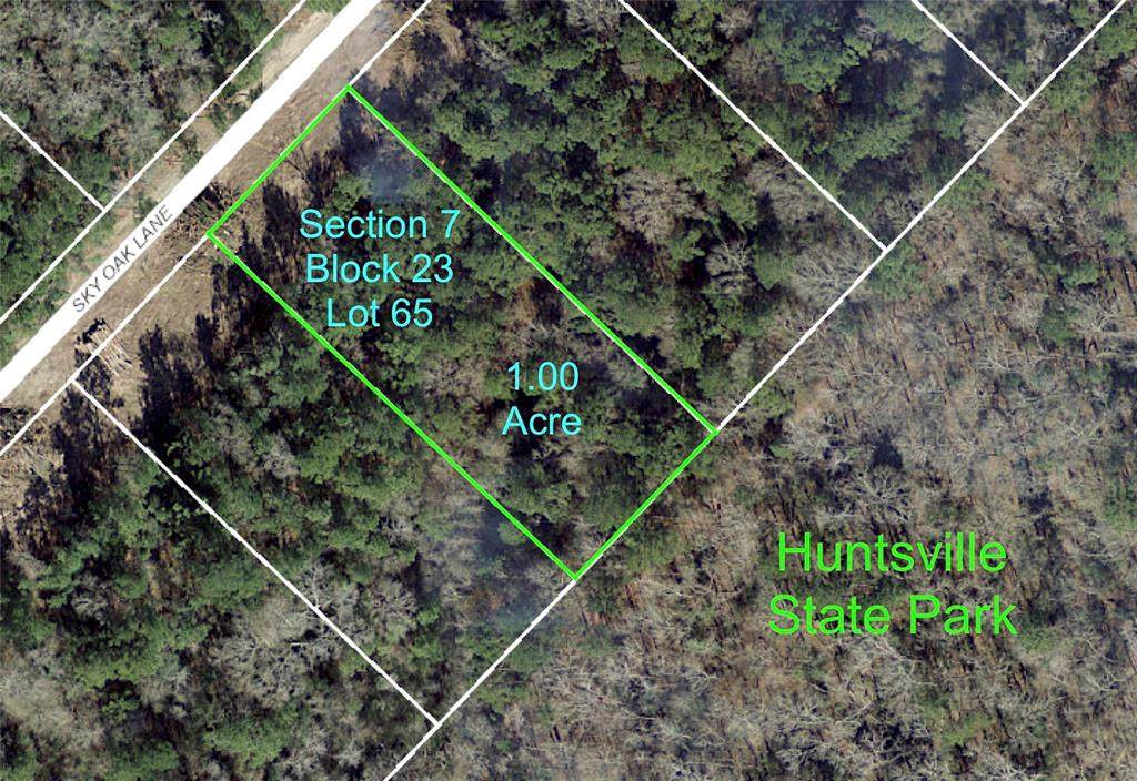 7-23-65 Sky Oak Lane - Photo 1