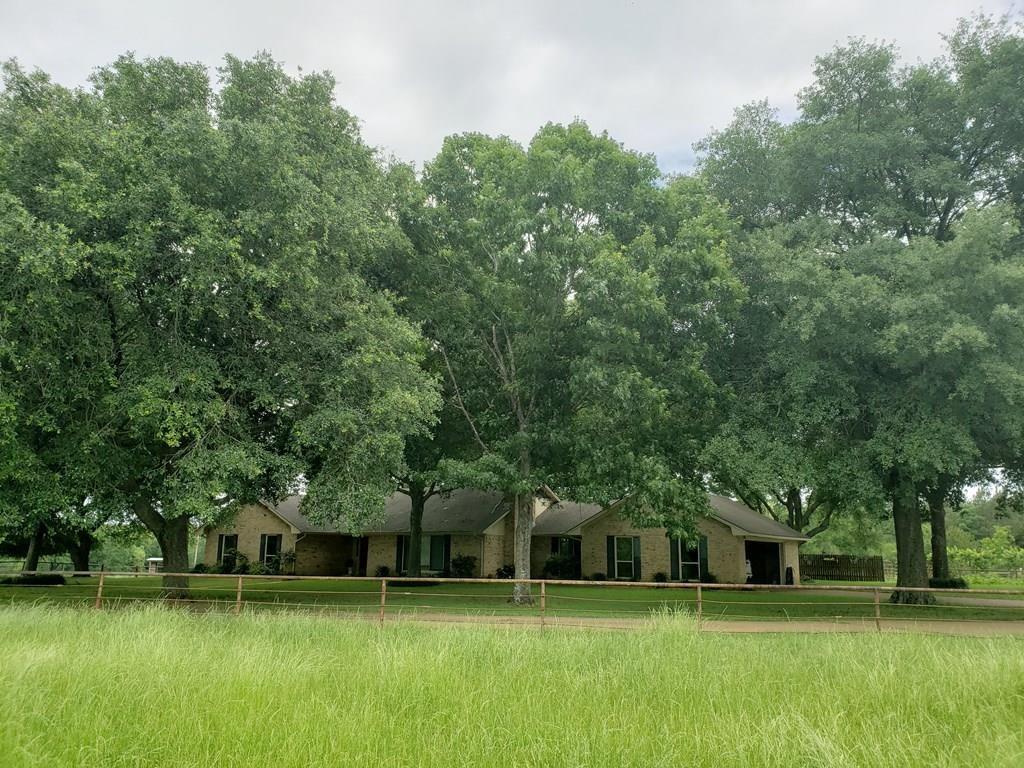 285 County Road 250 - Photo 1