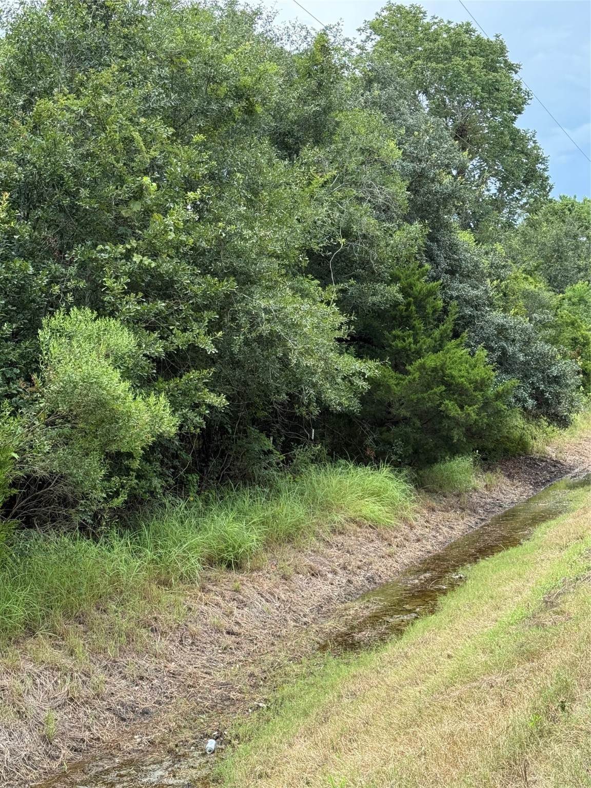 000 County Road 289 - Photo 1