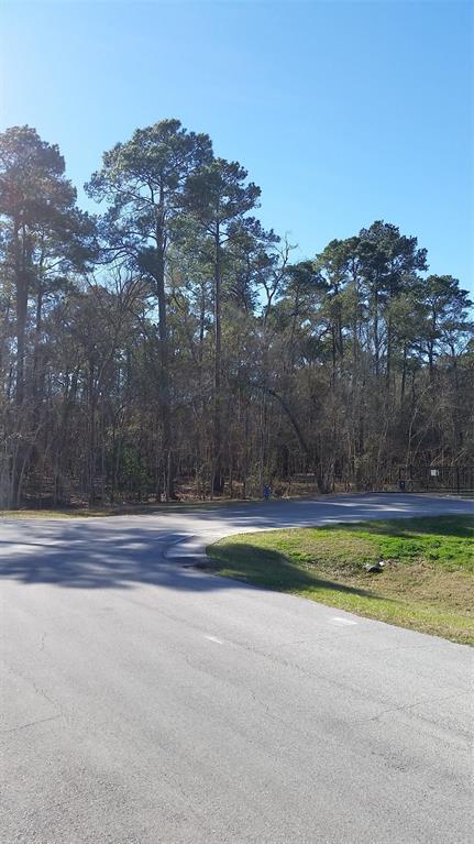 0 E Lake Houston Parkway - Photo 1