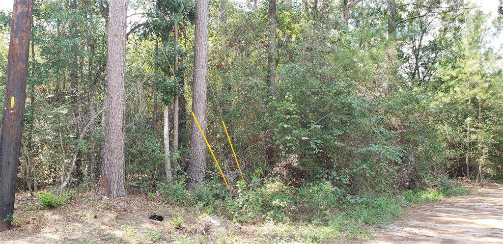 0 Woodway Dr - Photo 1