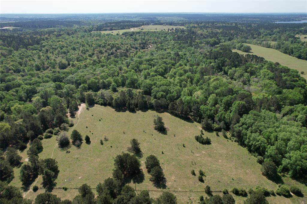 2954 County Road 2170 - Photo 1